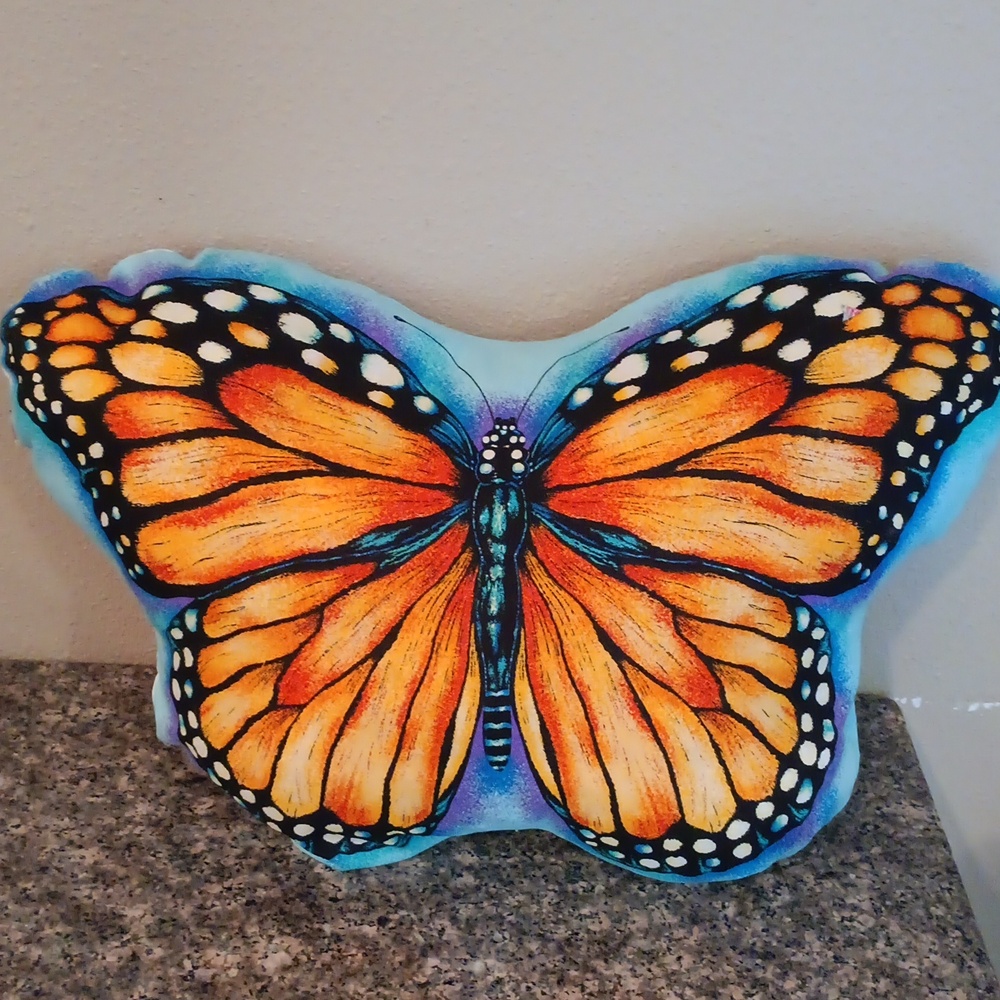 Large Handmade Vibrant Butterfly Pillow Double Sided
